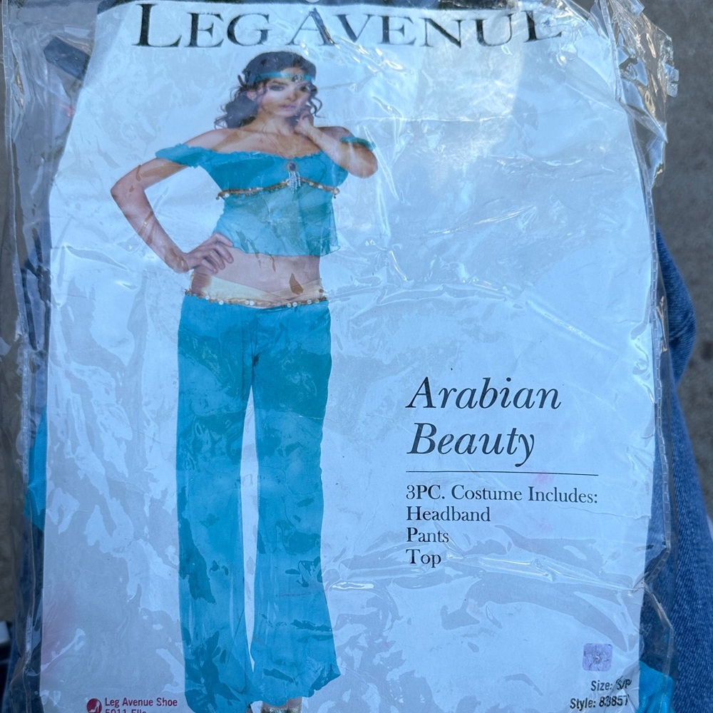 Leg Avenue Teal Costume Set